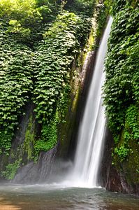 Natürliche Gelassenheit am Wasserfall von Munduk