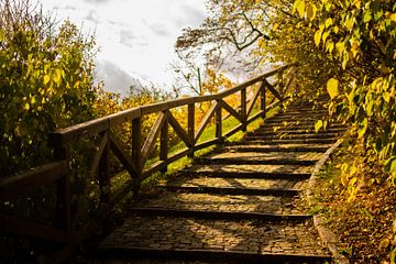 Prague autumn colors yellow and green with shadow and leaves by Dorus Marchal