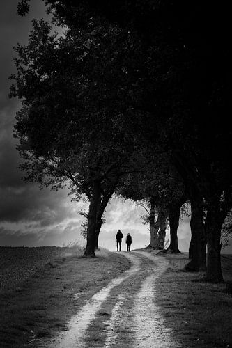 Blik over de Hondsrug