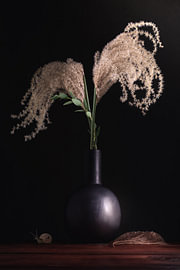 Pampasgras-Rispen in einer schwarzen Vase – Fine-Art-Stillleben