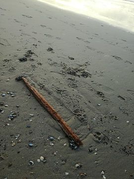 Aangespoeld stuk hout op het strand van henrie Geertsma