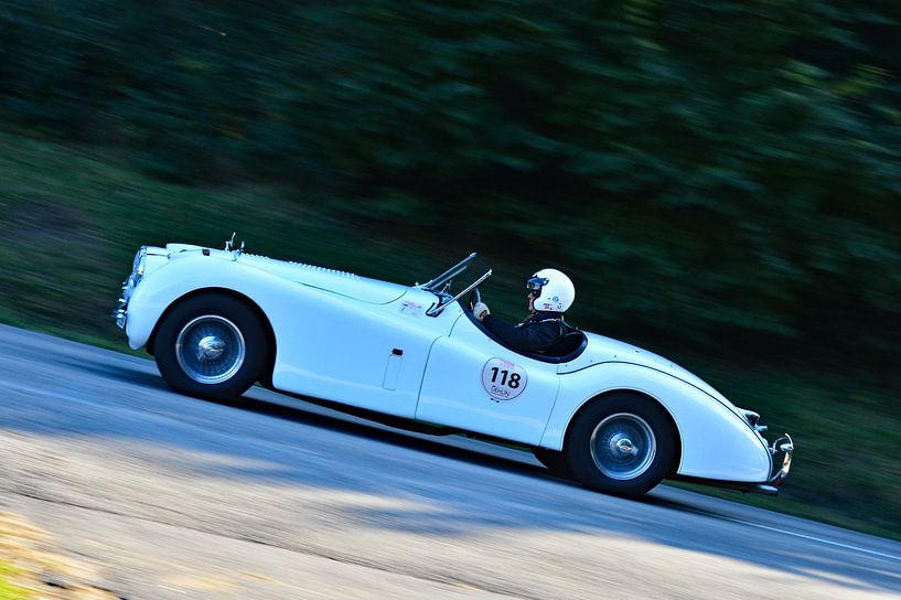 Jaguar XK 120 OTS  am Berg - Eggberg Klassik 2019 - von Ingo Laue