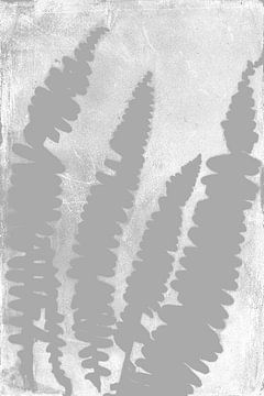 Graue Farnblätter im Retro-Stil. Moderne botanische minimalistische Kunst in Grau und Weiß von Dina Dankers