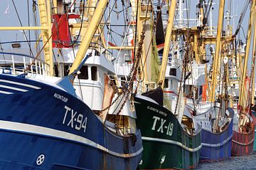 Vissersvloot Texel van Ronald Timmer