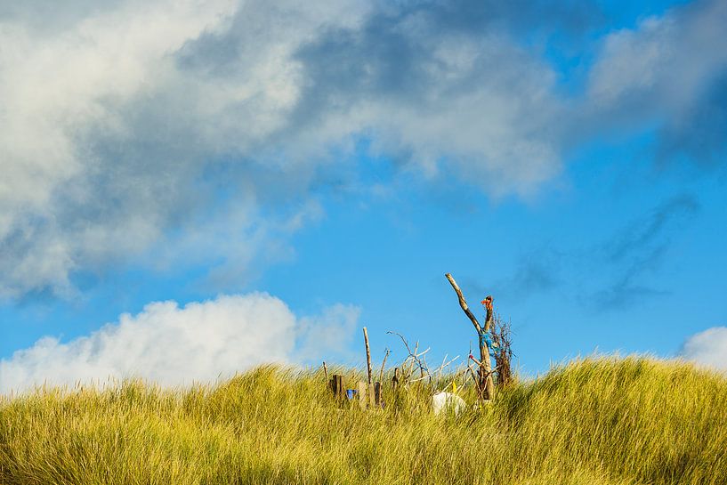 Landschaft mit Dünen auf der Insel Amrum von Rico Ködder