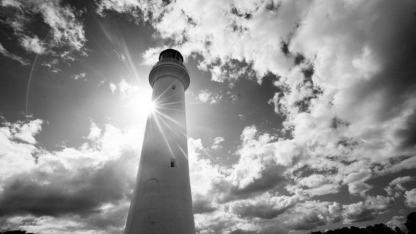 Sentinel by Edwin Vermeulen