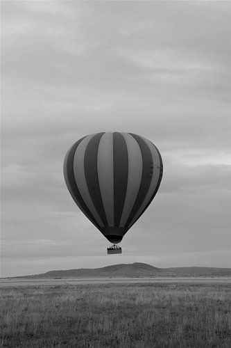 Hot air balloon