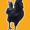 Big Black Cock (grote zwarte haan) von Studio Fantasia