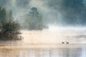 Morning Mist von jowan iven