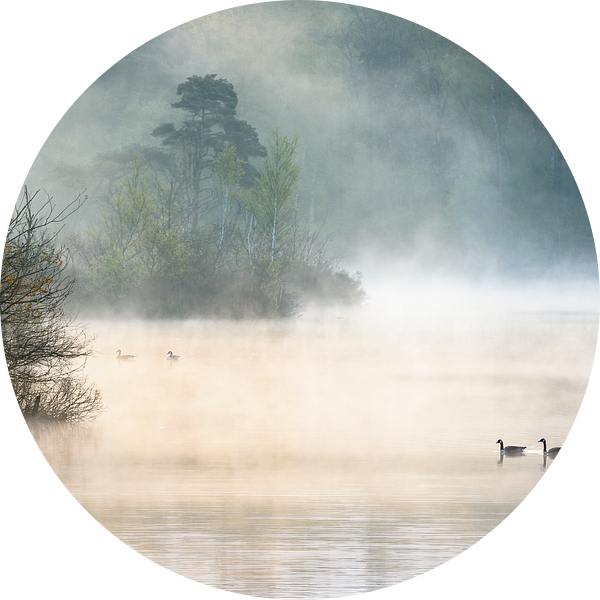 Morning Mist van jowan iven