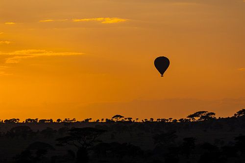Ballonfahrt über die Savanne des Serengeti-Nationalparks in der Morgensonne, Tansania