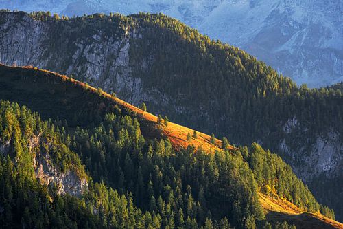 Begin van de herfst in de Beierse Alpen