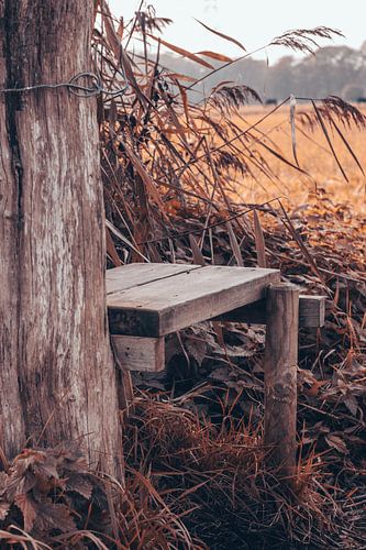 Banc en bois