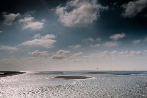 het wad in beweging  nr.3