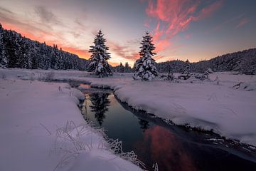 Het geluid van de winter