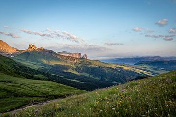 Flowers in the Dolomites