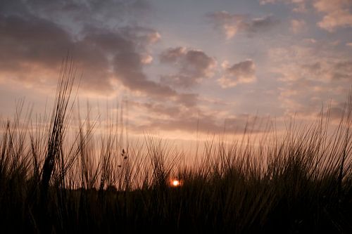 zonsondergang boven westerbork