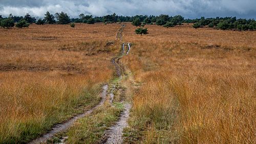 Bedrohlicher Himmel über dem Veluwezoom.