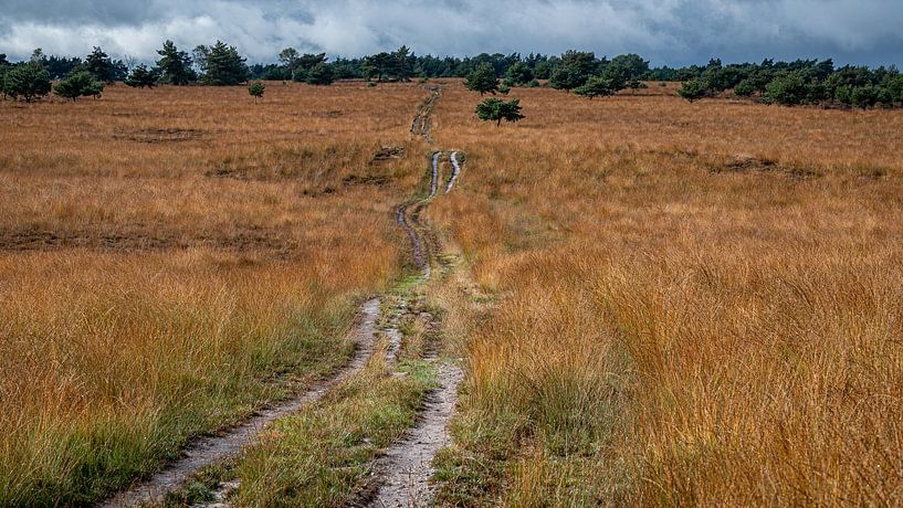 Threatening skies over the Veluwezoom. by Koos SOHNS   (KoSoZu-Photography)