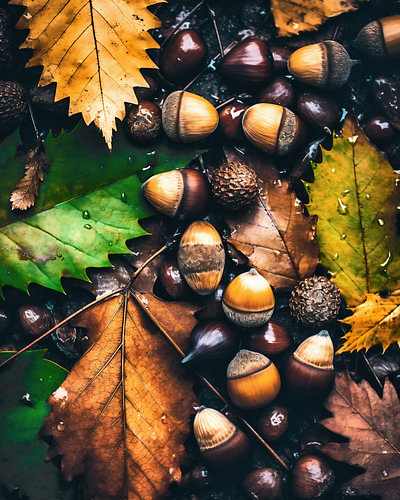 Autumn atmosphere