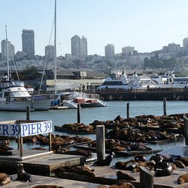 Pier 39, San Francisco, California, USA van Jeffrey de Ruig
