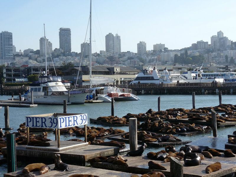Pier 39, San Francisco, California, USA van Jeffrey de Ruig