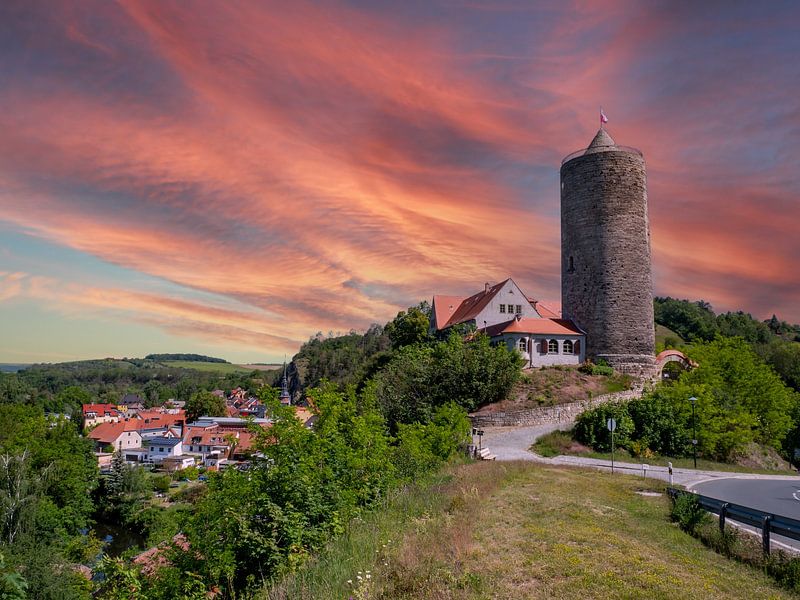 Blick auf die Burg in Camburg Thüringen von Animaflora PicsStock