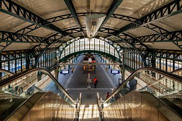 Nostalgisch station 's-Hertogenbosch van Eugene Winthagen