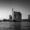 Panorama of the city of Rotterdam and the Erasmus Bridge across the Nieuwe Maas at sunrise by Tjeerd Kruse