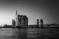 Panorama van de stad Rotterdam en de Erasmusbrug over de Nieuwe Maas bij zonsopkomst van Tjeerd Kruse thumbnail
