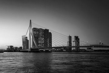Panorama van de stad Rotterdam en de Erasmusbrug over de Nieuwe Maas bij zonsopkomst