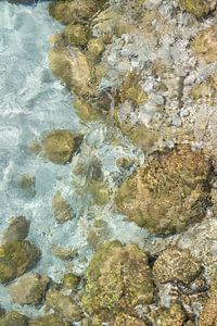Wasser und Felsen