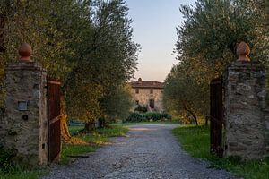 Podere Toscaberna in Seggiano Tuscany