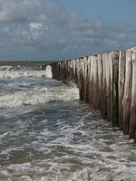 Breakwaters break the waves in the sun on the beach of Cadzand, Zeeland