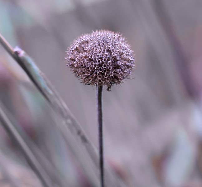 Still standing strong von Ingrid Ronde