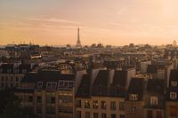 Rooftops of Paris