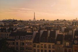 Die Dächer von Paris