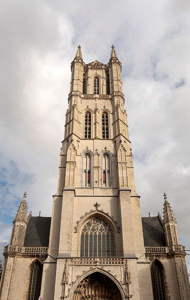 Sint Baafskathedraal van Richard Wareham
