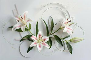 Lilies