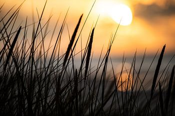 Zonsondergang op Ameland