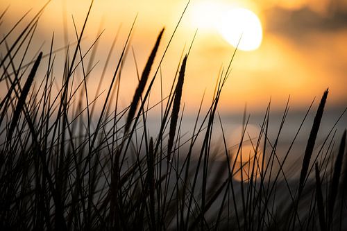 Sonnenuntergang auf Ameland