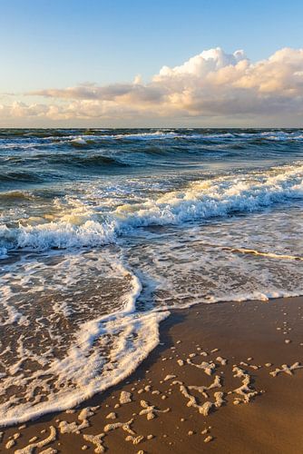 Baltic Sea waves in the evening light II
