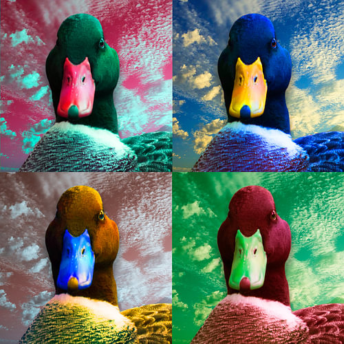 Enten im Andy-Warhol-Stil