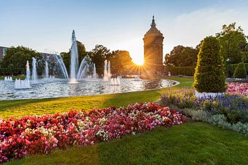 Friedrichsplatz mit dem Wasserturm in Mannheim von Werner Dieterich