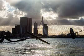 Erasmus bridge in backlight. by Brian Morgan