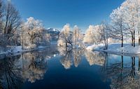 Winter in de Alpen van Dieter Meyrl thumbnail