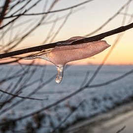 IJspegel von Rob van der Teen