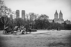 Central Park by Maikel Brands