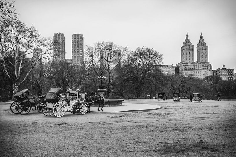 Central Park von Maikel Brands