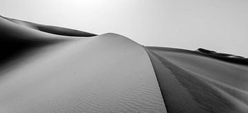 Zandduinen van de Sahara